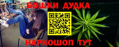 дмт Обь