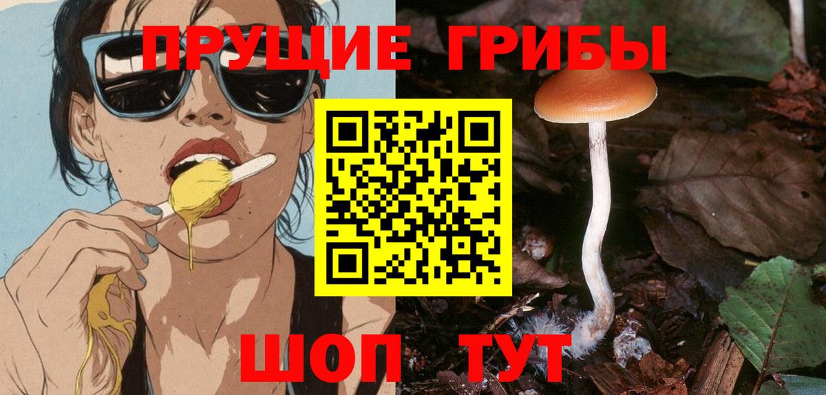 Псилоцибиновые грибы мицелий Татарск